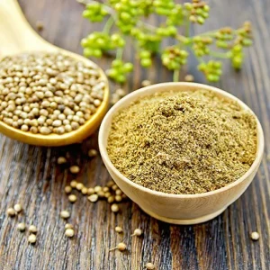 Coriander Powder -100g